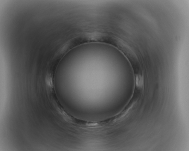 X0000114021155200910021412