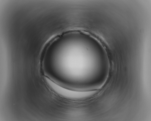 X0000114021165200910021411
