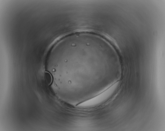 X0000114021167200910021411