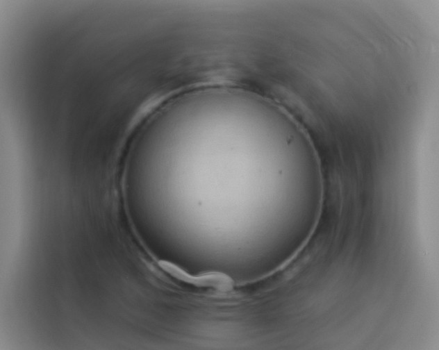 X0000114021168200910021411