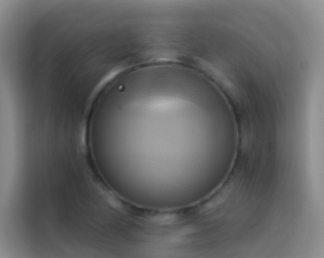 X0000114021174200910021411