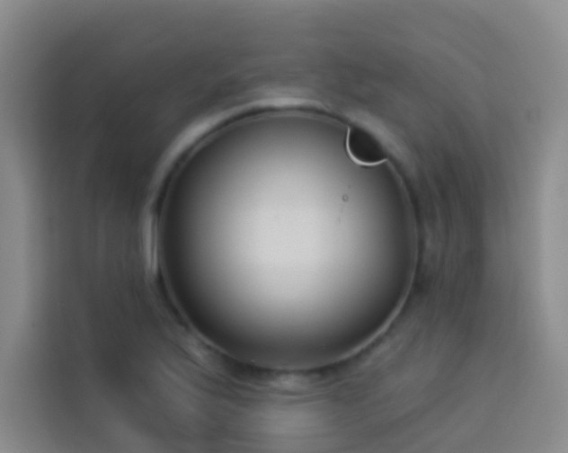 X0000114021175200910021411