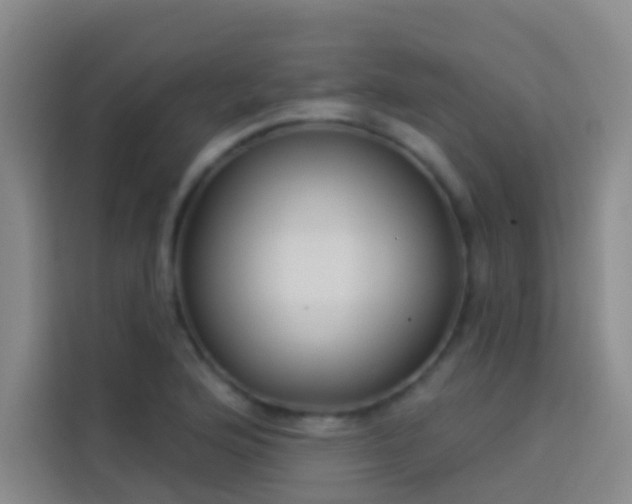 X0000114021176200910021411