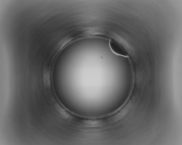 X0000114021177200910021411