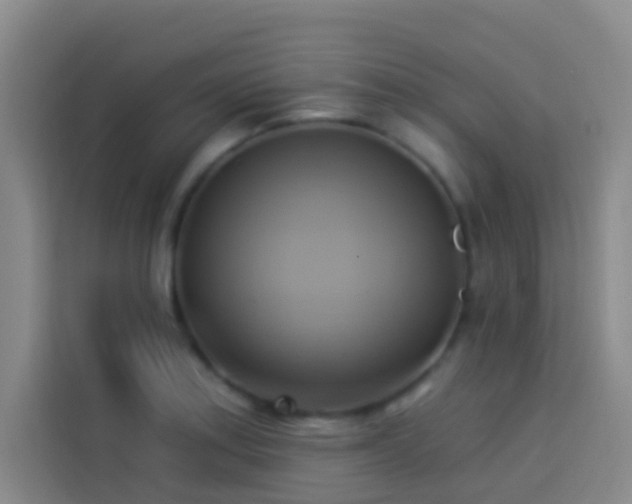 X0000114021179200910021411