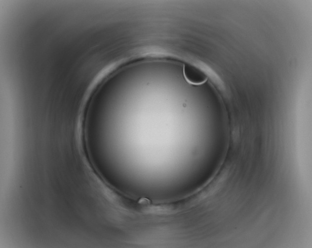X0000114021183200910021411