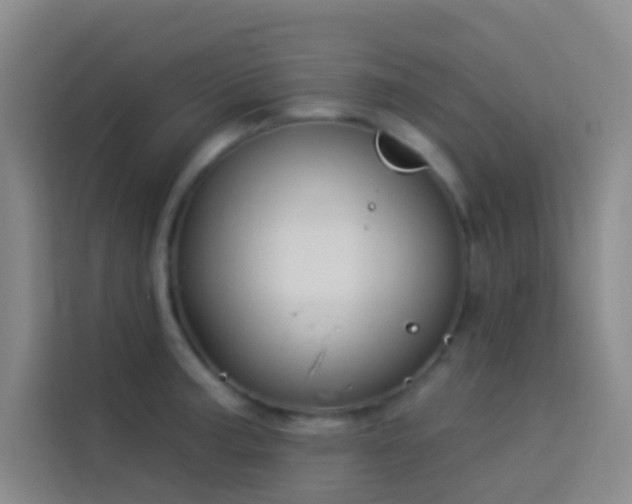 X0000114021187200910021411