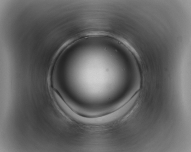 X0000114021189200910021411