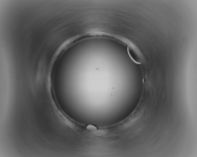 X0000114021191200910021411