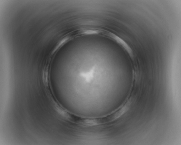 X0000114021194200910021411