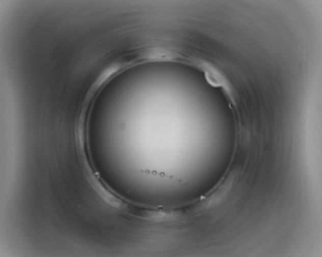 X0000114021195200910021411