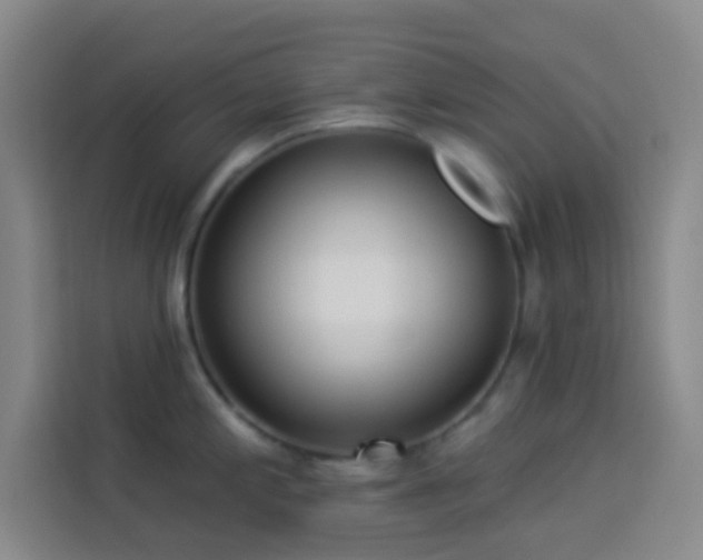 X0000114021197200910021411