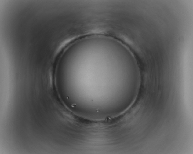 X0000114021214200910021411