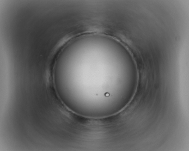 X0000114021215200910021411
