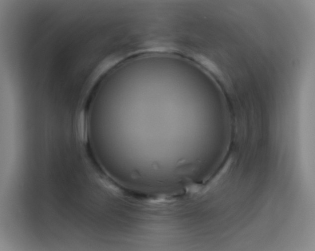 X0000114021223200910021411