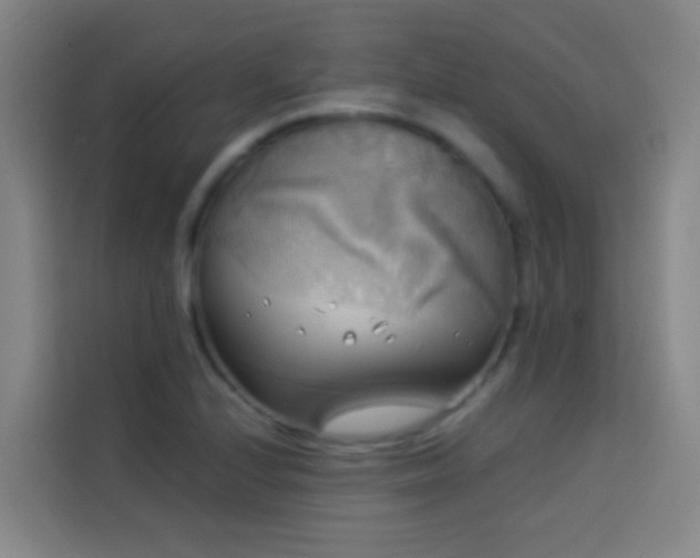 X0000114021224200910021411