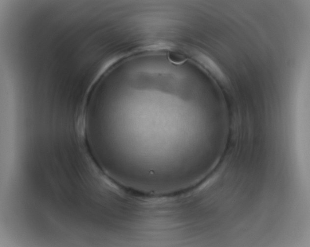 X0000114021228200910021411