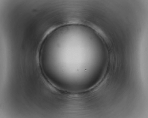 X0000114021230200910021411