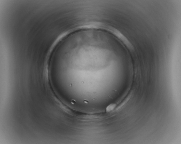 X0000114021232200910021411