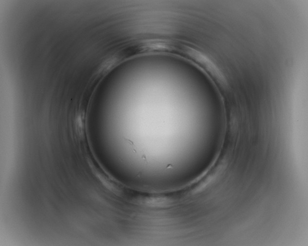 X0000114021233200910021411