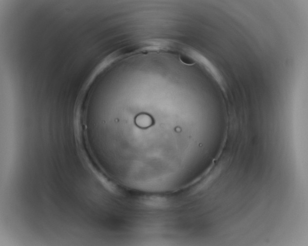 X0000114021235200910021411
