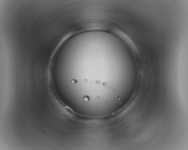X0000114021236200910021411