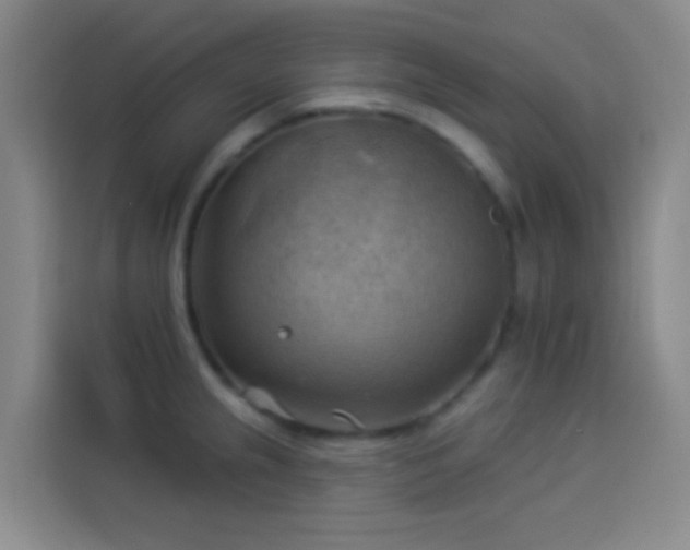 X0000114021237200910021411