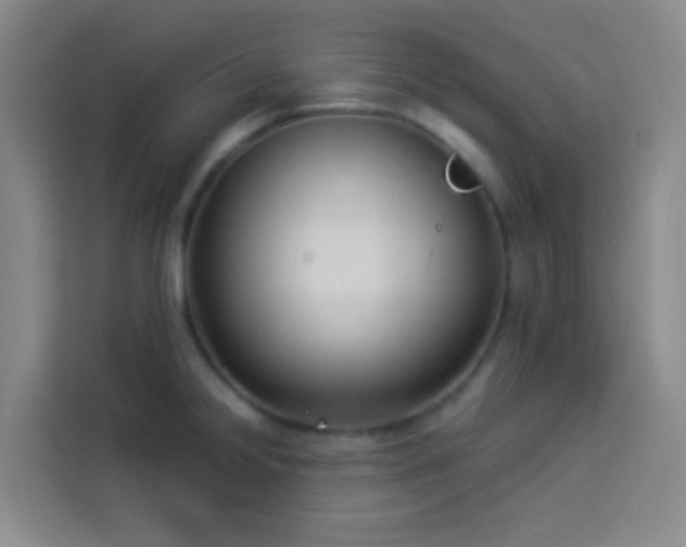 X0000114021238200910021411