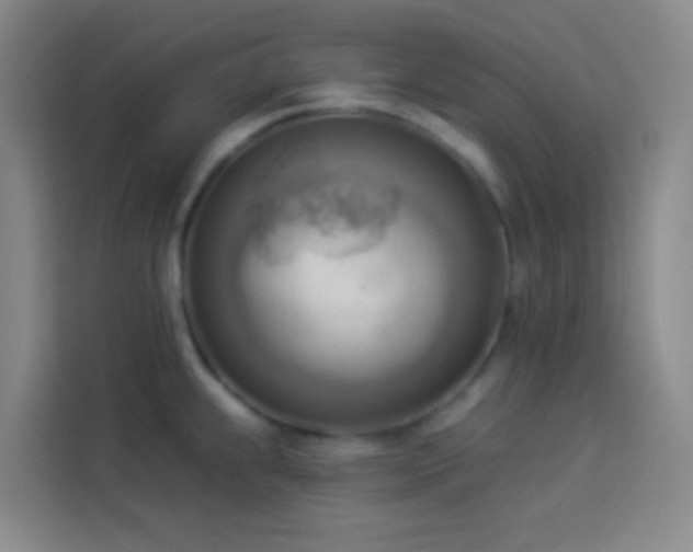 X0000114021239200910021411