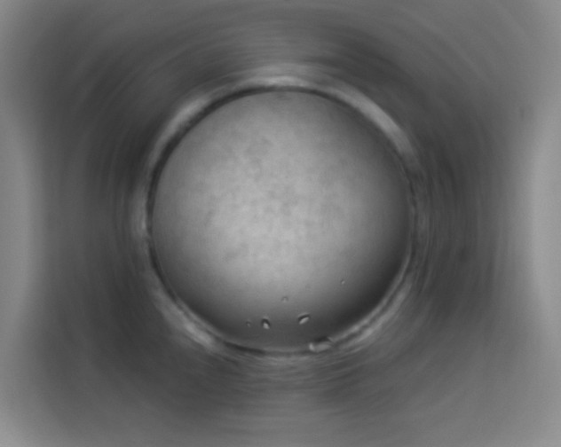 X0000114021240200910021411