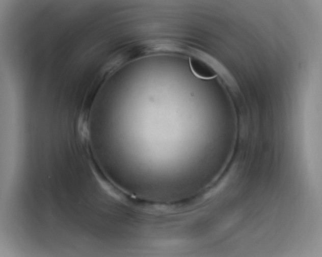 X0000114021241200910021411