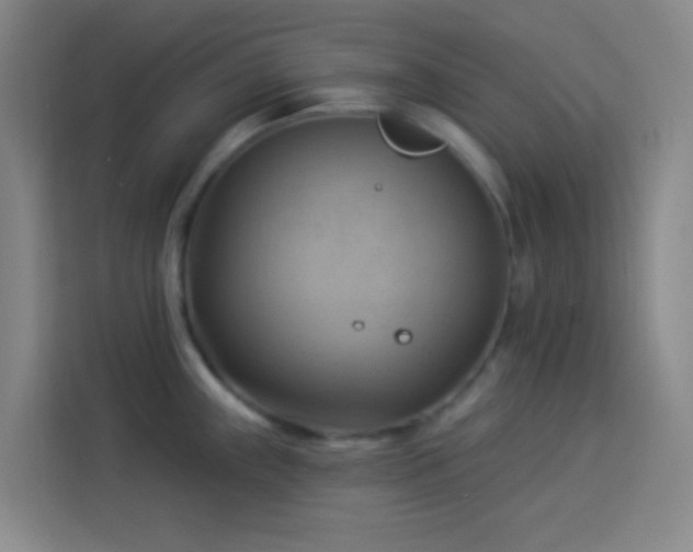 X0000114021243200910021411