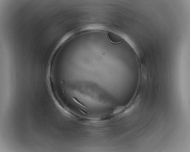 X0000114021245200910021411