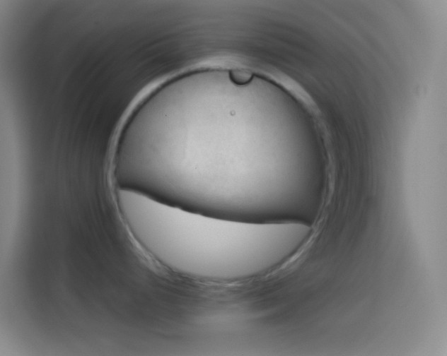 X0000114021248200910021411