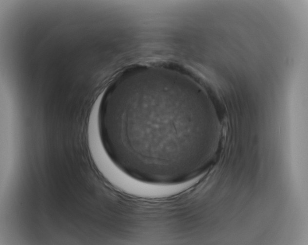 X0000114021252200910021410