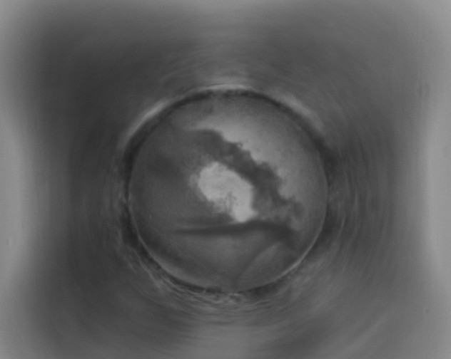 X0000114021255200910021410