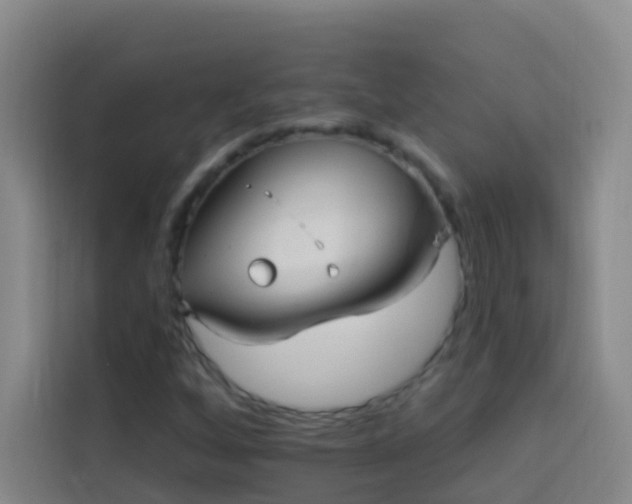 X0000114021256200910021410