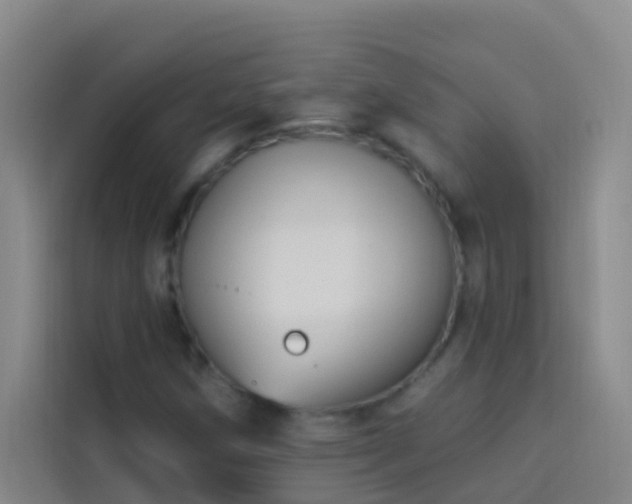 X0000114021258200910021410