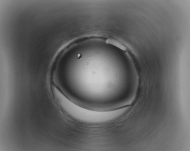 X0000114021264200910021410