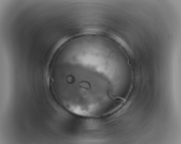 X0000114021275200910021410