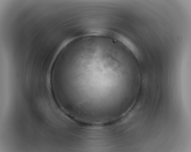 X0000114021283200910021410