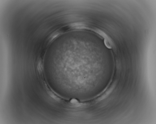 X0000114021289200910021410