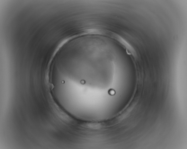 X0000114021291200910021410