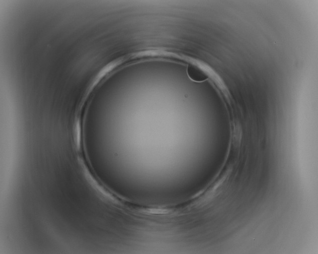 X0000114021295200910021410