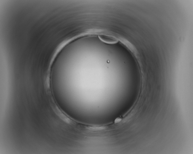 X0000114021296200910021410