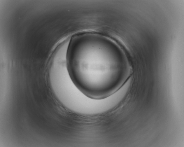 X0000114021308200910021409