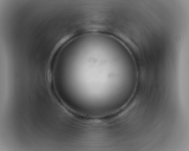 X0000114021317200910021409