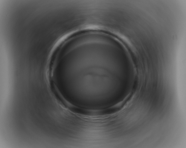 X0000114021319200910021409