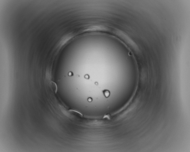 X0000114021321200910021409
