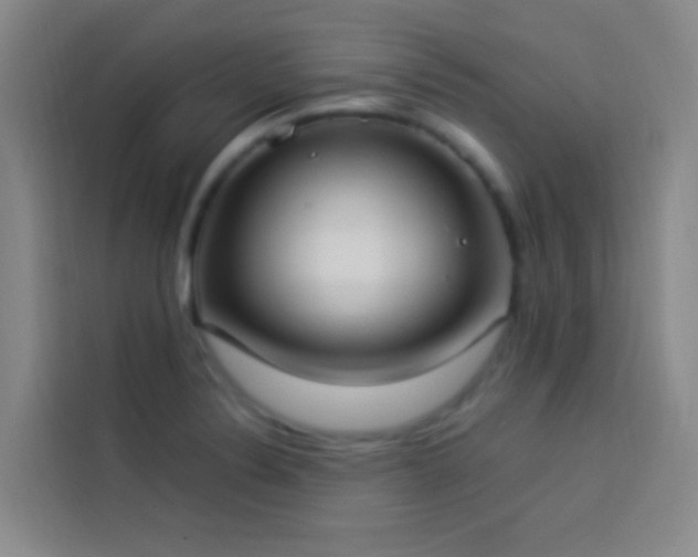 X0000114021324200910021409